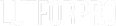 SEO Expert in Bangladesh
